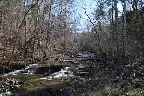 0 Eb Hollow Rd, Eidson, TN 37731 photo 6