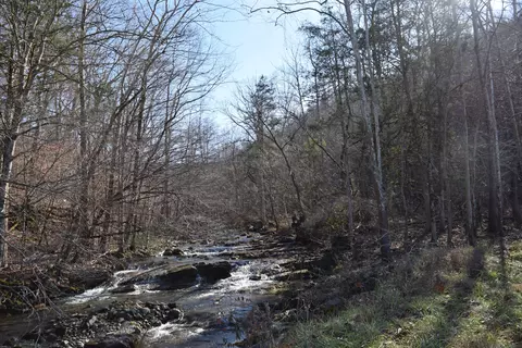 0 Eb Hollow Rd, Eidson, TN 37731 photo 12