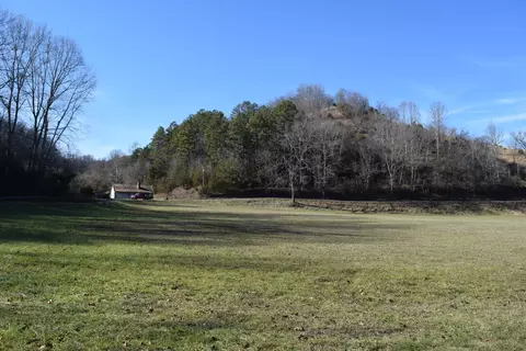 0 Eb Hollow Rd, Eidson, TN 37731 photo 13