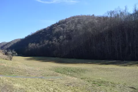 0 Eb Hollow Rd, Eidson, TN 37731 photo 9