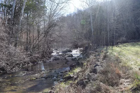 0 Eb Hollow Rd, Eidson, TN 37731 photo 3