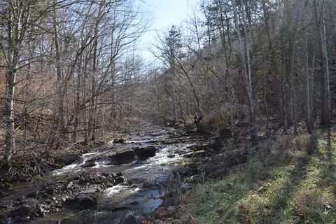 0 Eb Hollow Rd, Eidson, TN 37731 photo 5