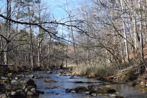 0 Eb Hollow Rd, Eidson, TN 37731 photo 14