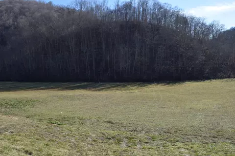 0 Eb Hollow Rd, Eidson, TN 37731 photo 8