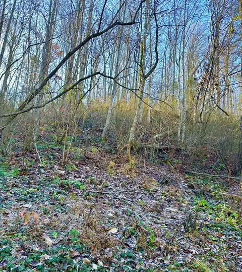 lot Manis Hollow Rd, Gatlinburg, TN 37738