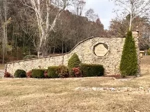 lot8 Cove Spgs, Dandridge, TN 37725