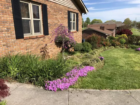 742 Barbara Dr, Talbott, TN 37877 photo 39