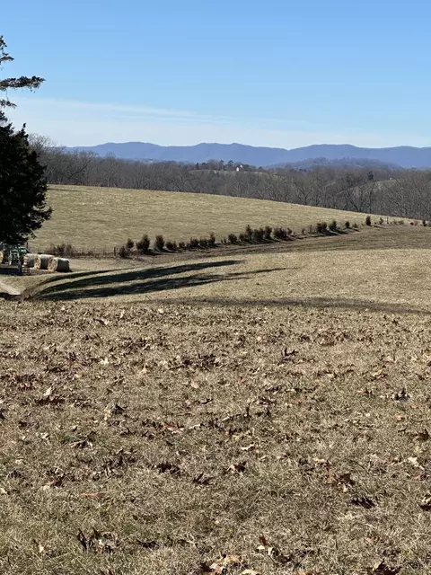 00 Baldwin Hill 131 Acres Rd, New Tazewell, TN 37825