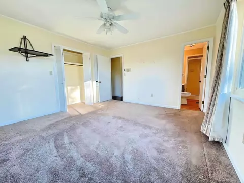 7026 Maxwell Ter, Talbott, TN 37877 photo 10