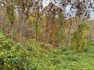 lot108 Stone Bridge Dr, Dandridge, TN 37725