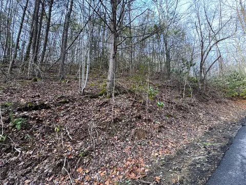 lot10 Black Gum Gap Rd, Gatlinburg, TN 37738
