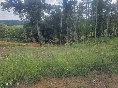 lot290 Inlet Cv, Morristown, TN 37814