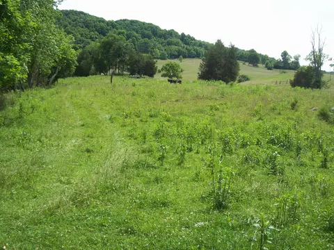 8909 Mulberry Gap Rd, Sneedville, TN 37869