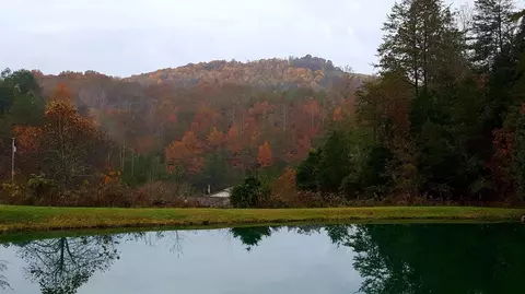 View/Area - 224 Old Lee Hwy, Eidson, TN 37731 photo 6 of 9