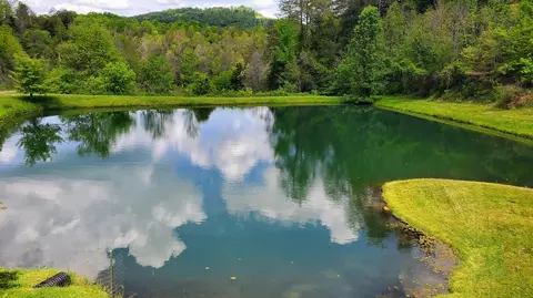 View/Area - 224 Old Lee Hwy, Eidson, TN 37731 photo 3 of 9