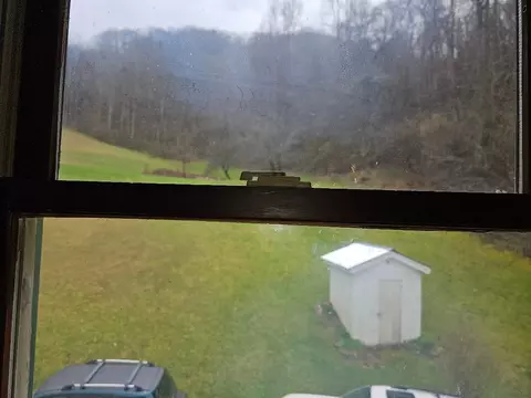 Other - 224 Old Lee Hwy, Eidson, TN 37731 photo 15 of 16