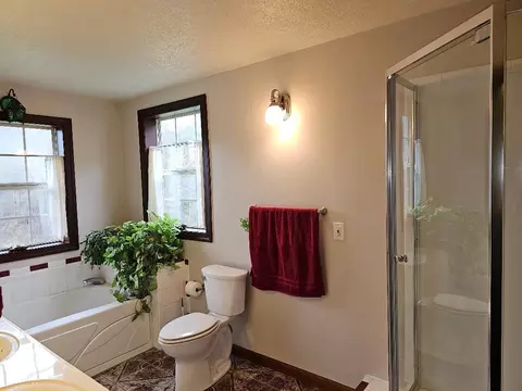 Bath - 224 Old Lee Hwy, Eidson, TN 37731 photo 5 of 8