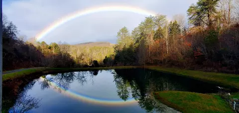 View/Area - 224 Old Lee Hwy, Eidson, TN 37731 photo 5 of 9