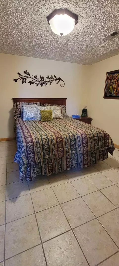 Bedroom - 279 Chilhowee Ln, Bean Station, TN 37708 photo 7 of 7