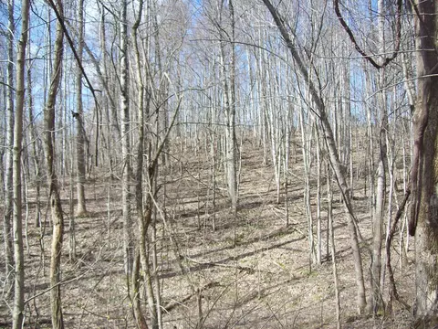 0 Patsy Rd, Sneedville, TN 37869 photo 3