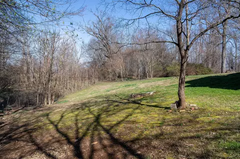 Exterior - 925 Ronald Dr, Talbott, TN 37877 photo 9 of 16
