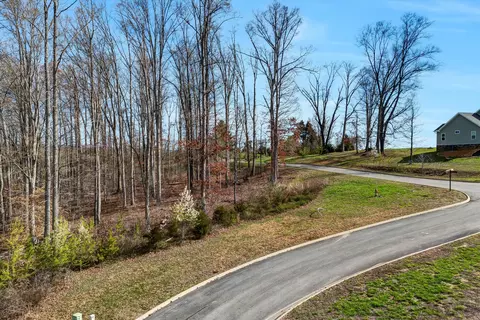 lot133 Saddleback Ridge Rd, Rutledge, TN 37861