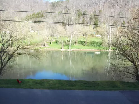 View/Area - 3510 Horton Ford Rd, Eidson, TN 37731 photo 1 of 3
