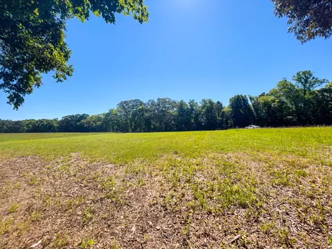 lot51 Sunset Blvd, White Pine, TN 37890