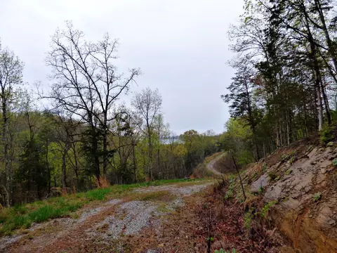 lot1 Chestnut Hill Rd, Dandridge, TN 37725