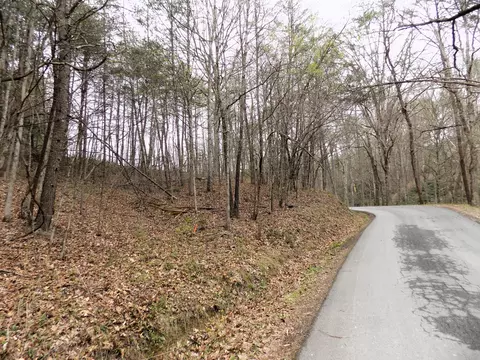 lot Apt 61 Deerfoot Rd, Cosby, TN 37722