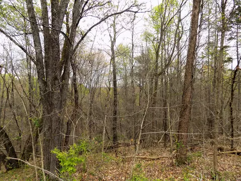 Par 067.03 Alpha Road, Newport, TN 37821