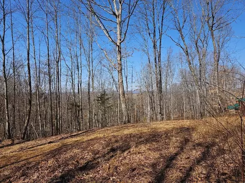 33 28ac Tiny Homes Ln, Thorn Hill, TN 37881