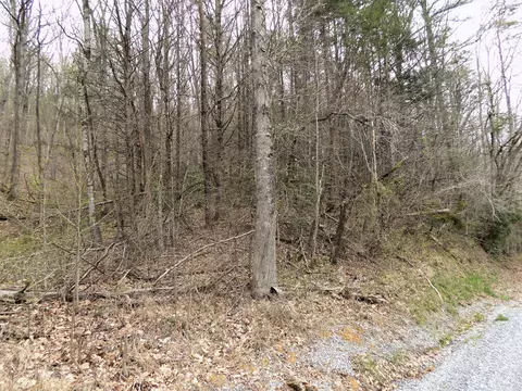 lot Apt 188 Deerfoot Rd, Cosby, TN 37722