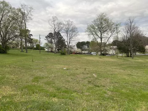 Lot 1b Chandler St, White Pine, TN 37890