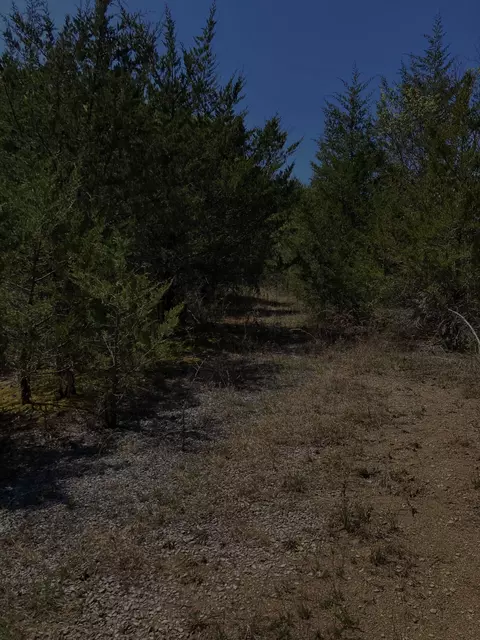 1661 Sandy Ridge Road Rd, Dandridge, TN 37725