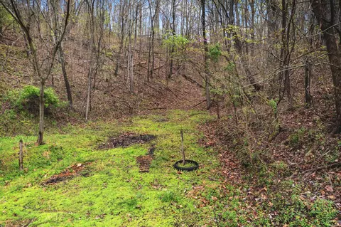 View/Area - 917 Hodgetown Rd, Rutledge, TN 37861 photo 1 of 6