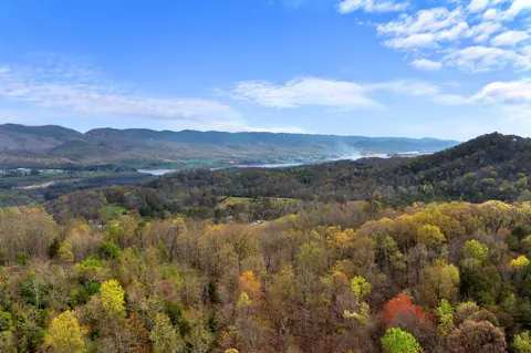 View/Area - 917 Hodgetown Rd, Rutledge, TN 37861 photo 6 of 6