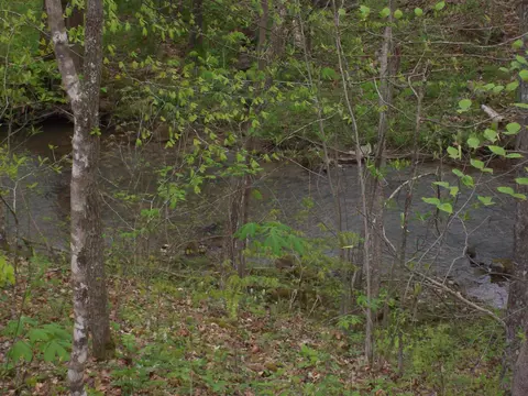 0 Sycamore Cir, Sneedville, TN 37869