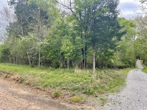 lot9 Frank Dawn Rd, Dandridge, TN 37725