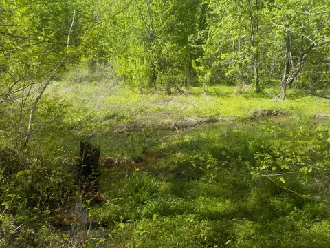 0 Steve Brown Rd, Bean Station, TN 37708