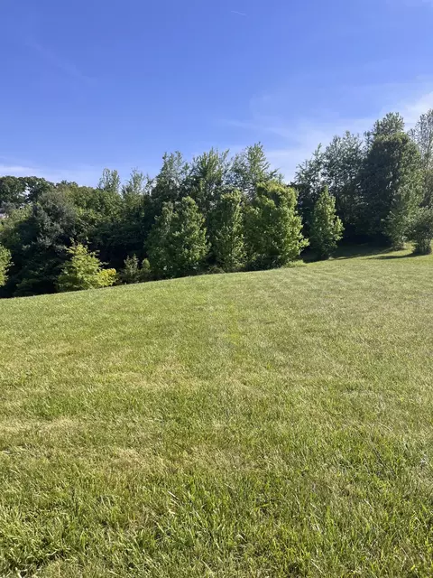111 Courtney Rd, Talbott, TN 37877 photo 8