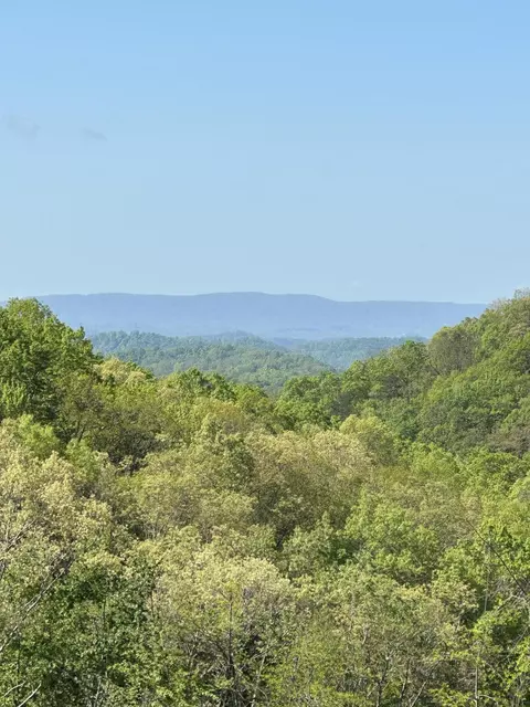 00 Off Black Valley Rd, Sneedville, TN 37869