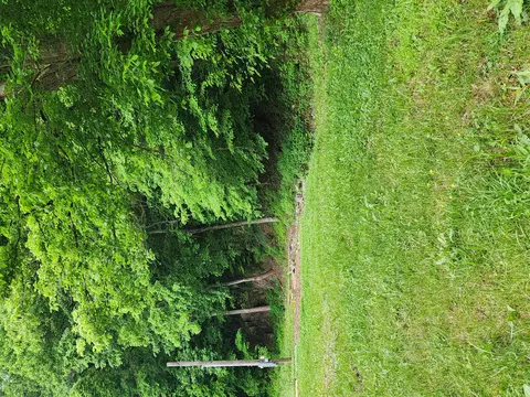 12713 Chapman Hwy, Seymour, TN 37865