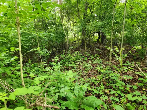 00 Cliffwood Dr, Newport, TN 37821