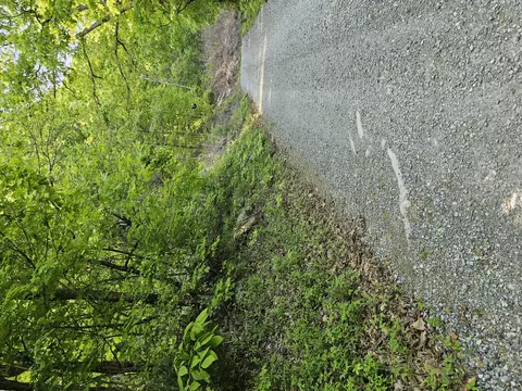 00 Neddy Mountain Rd, Del Rio, TN 37727
