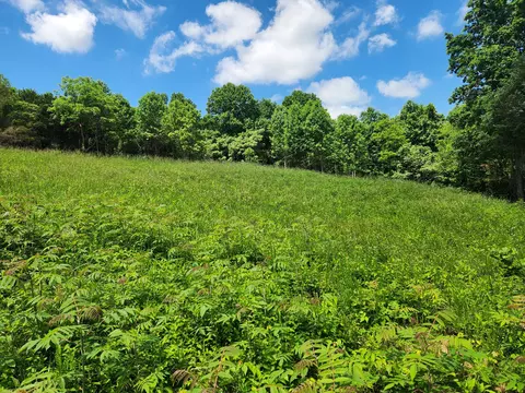 9999 Carroll Rd, Morristown, TN 37813