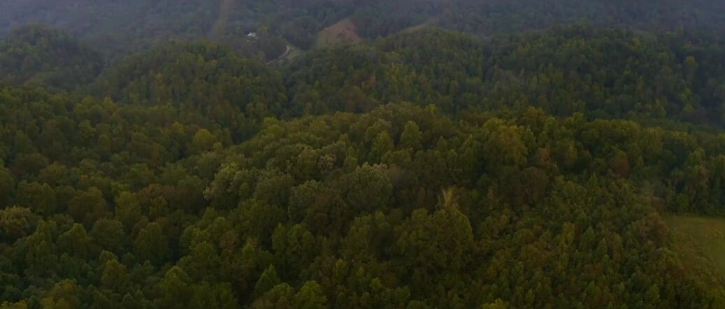 Tract 7 Bundren Mtn Rd  