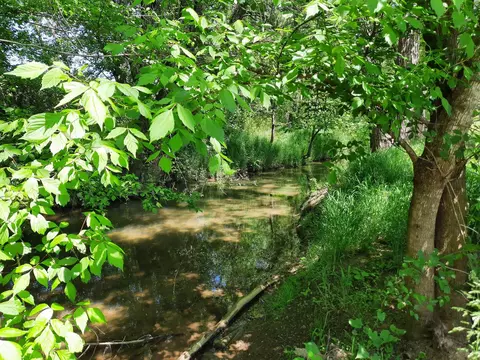 852 Shadowbrook Rd, Parrottsville, TN 37843