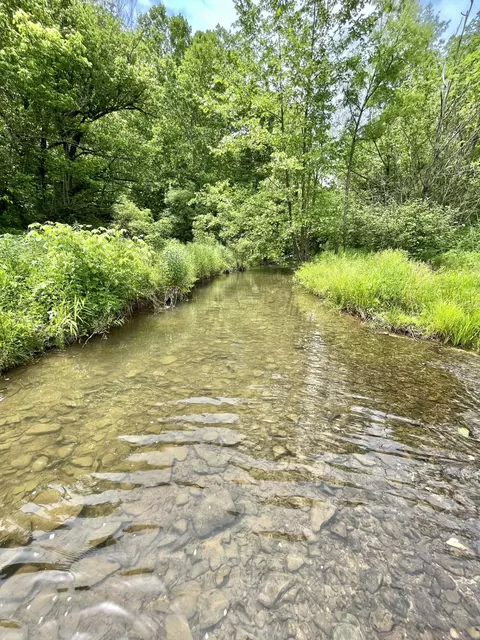 0000 Cave Springs Rd, Rogersville, TN 37857