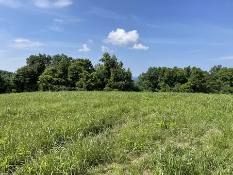 lot136 Tanzanite Trl, New Tazewell, TN 37825